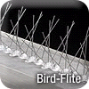 Bird Flite