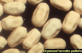 Termite Pellets